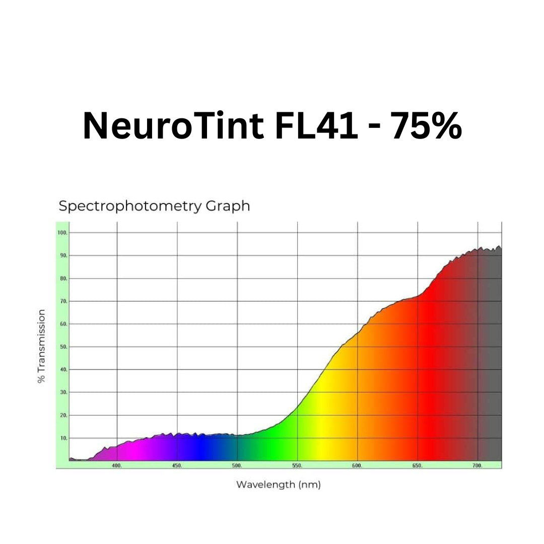 Rock: FL41