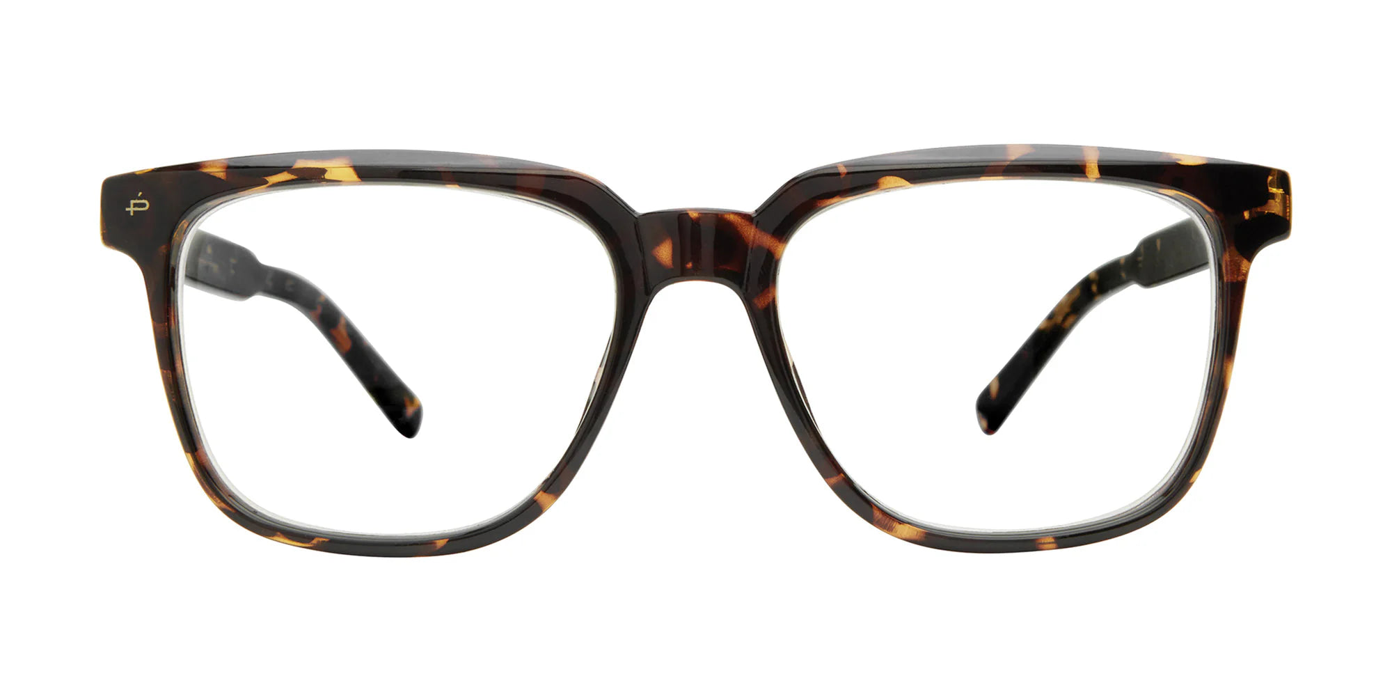 Nomad: Tortoise - E-Blue